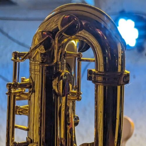 Mr. Saxophone - Mitglied der "Chicken Horns" to be replaced